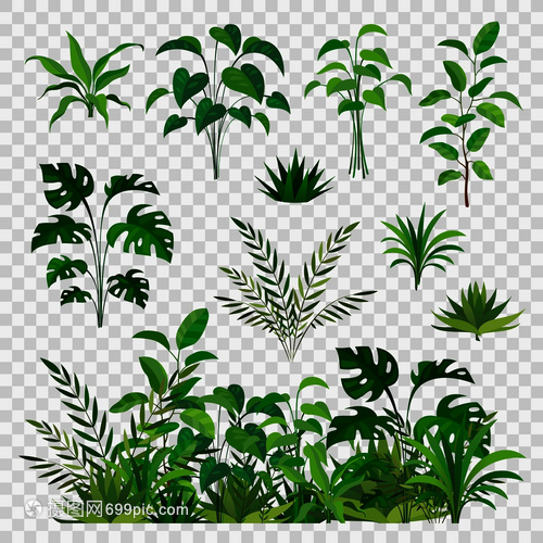 方寸天地间，绿意满人间 绿色植物元素盆景销售的艺术与市场前景