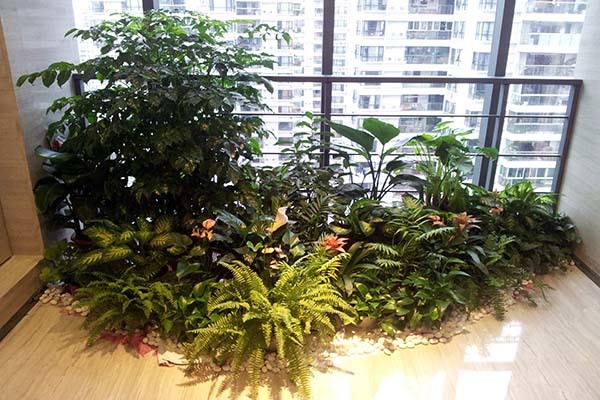 办公室绿植摆放全攻略 宜选、宜忌与风水布局